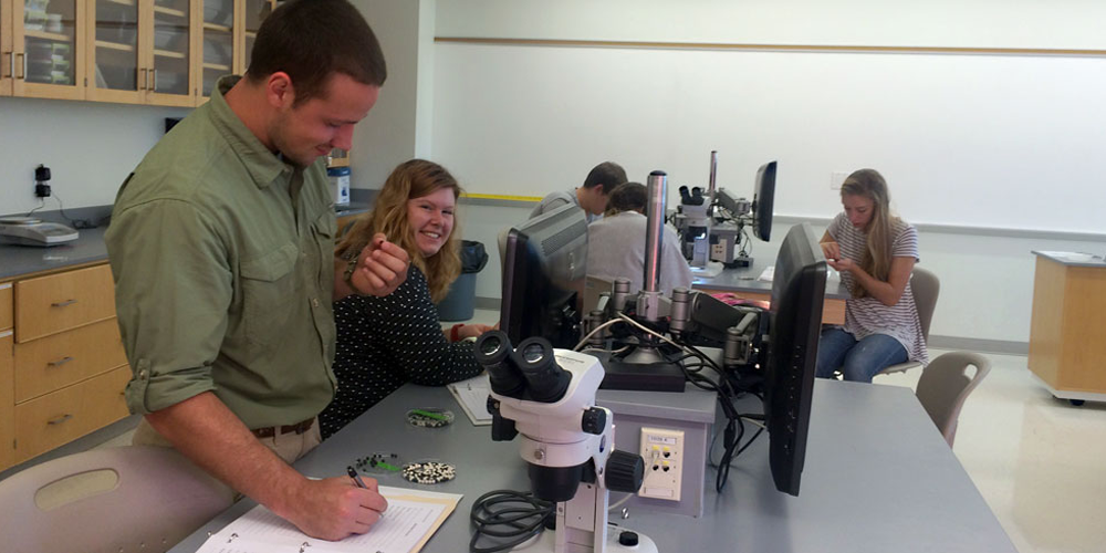 A Biology student teaching in a classroom