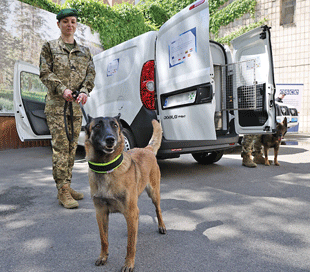 A person in military clothing stands in front of a white van with the doors open holding a dog on a leash.