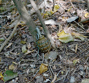 A grenade tied to a tree at ground level.