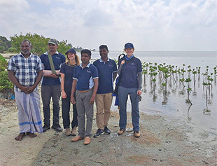 A group of people stand along a shoreline where small mangrove trees are growing.