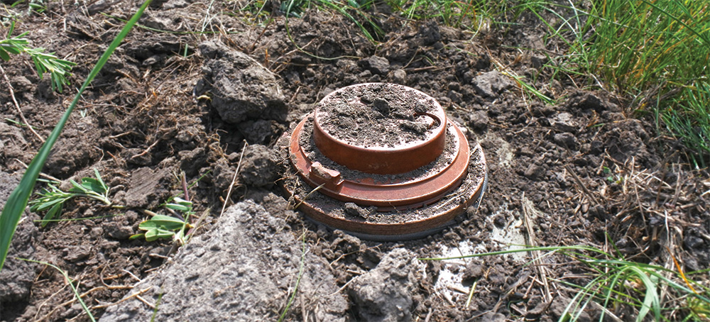 A brown circular object sits on a mound of dirt surrounded by grass and rocks