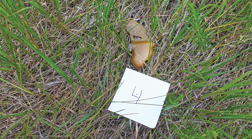 A bronze metal object lays in grass next to a white square piece of paper with the number 4 written on it.