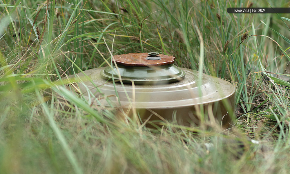 An olive-green anti-tank landmine partially obscured by tall grass.