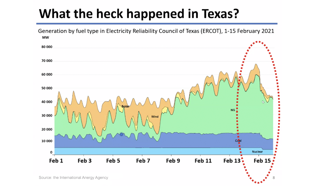 Graph depicting reliability by fuel type in regard to Texas crisis - 2021