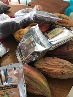 Cacao and Cacao/Chocolate Products - 2019