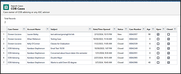 Report Example