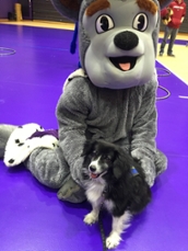 Francis with the Duke Dog