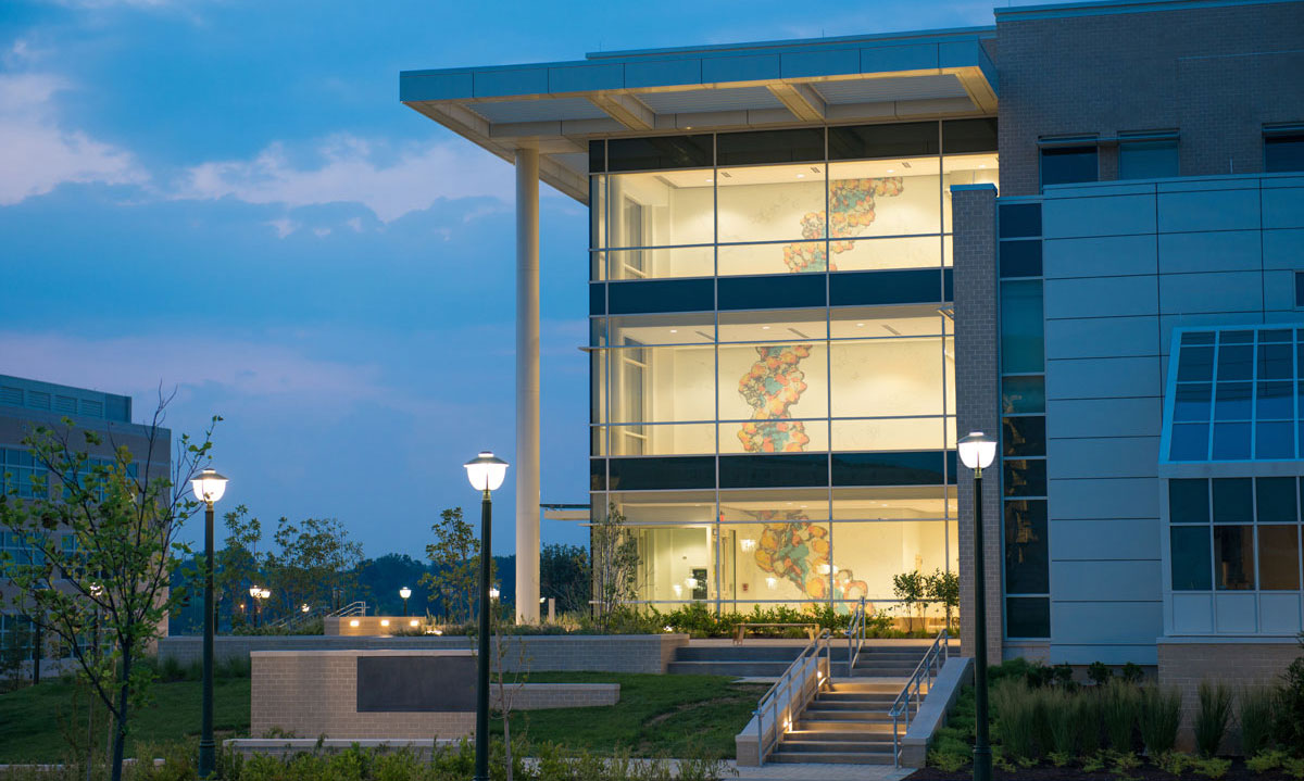photo taken outside in the evening showing the mural on all three floors of the bioscience building