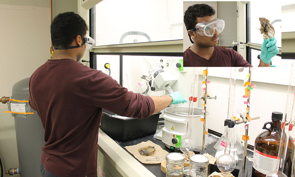 Ricky Flores works in the lab wearing goggles and gloves.