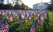 2024-veterans-day-lede