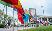 iweek-flags-172.jpg