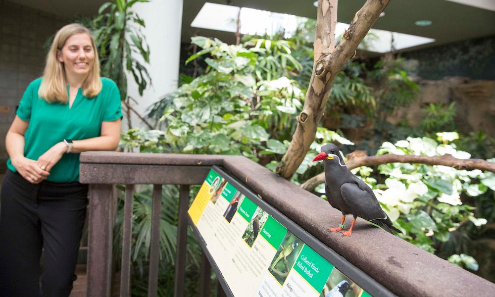 Megan Ross with bird