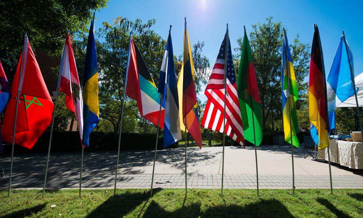 Picture of flags on poles