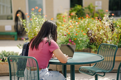 student studying in outdoor garden patio
