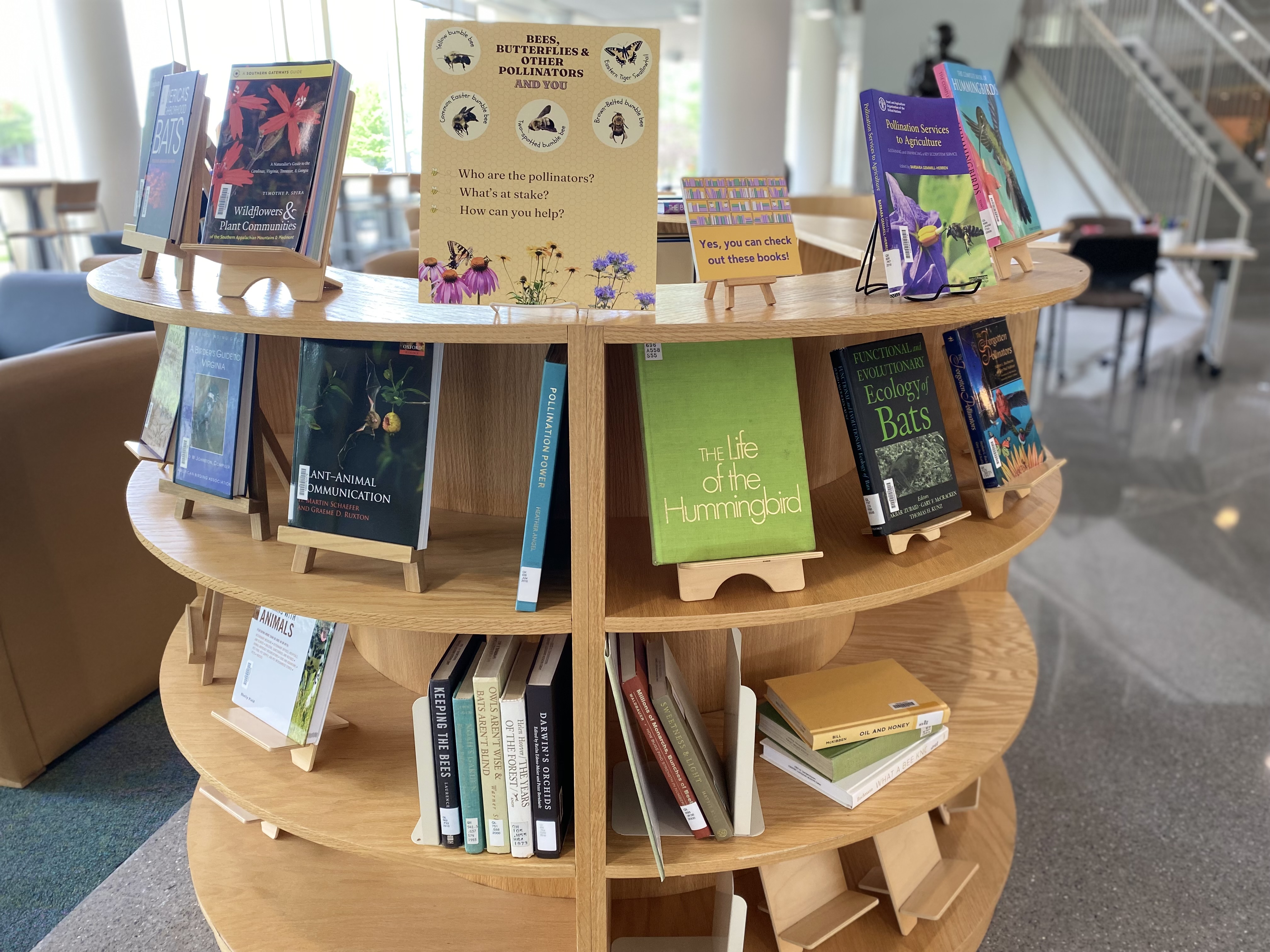 Books on a library shelf