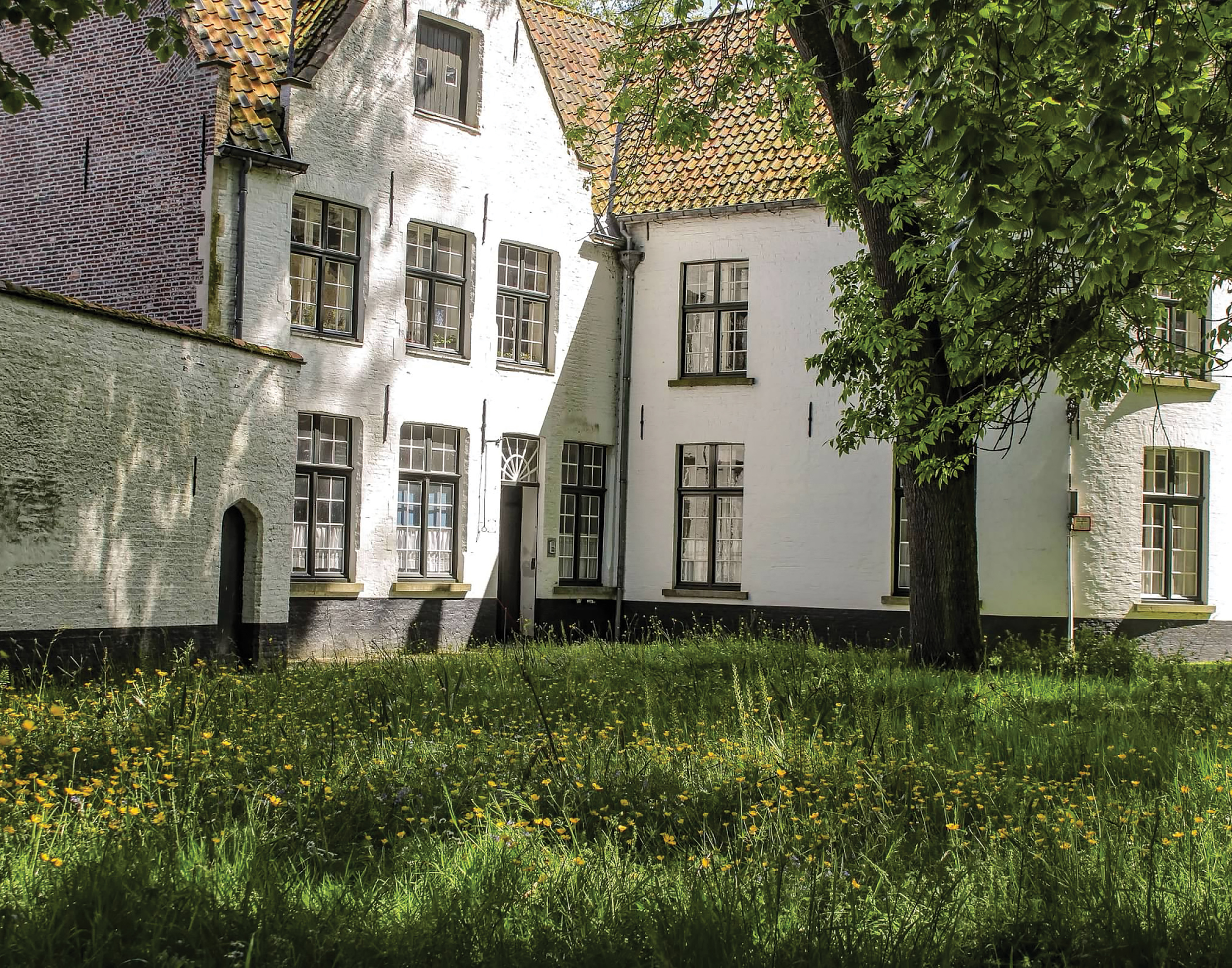 A serene view of a white building surrounded by lush greenery and colorful wildflowers.