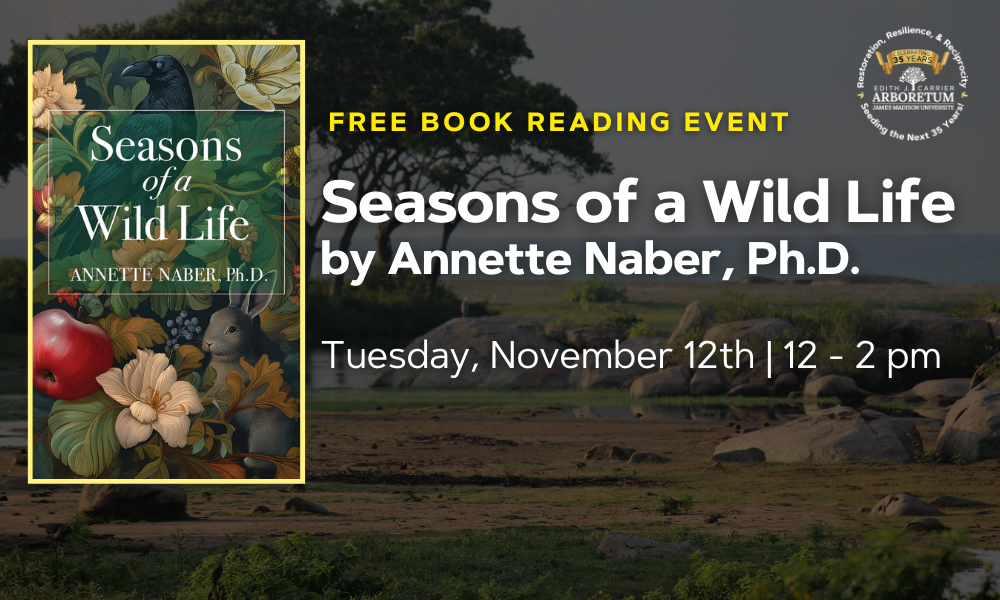 flyer for book reading event by annette naber