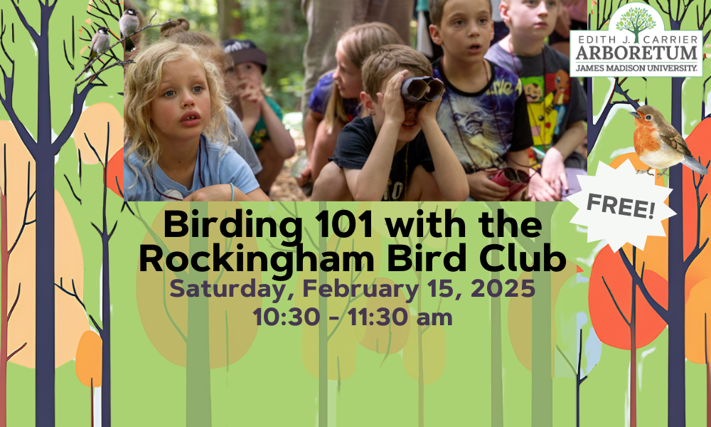 flyer for birding 101 on feb 15th