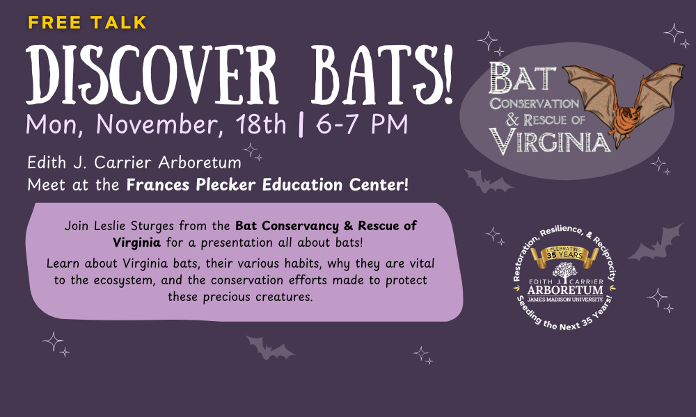 flyer for free talk on Virginia bats