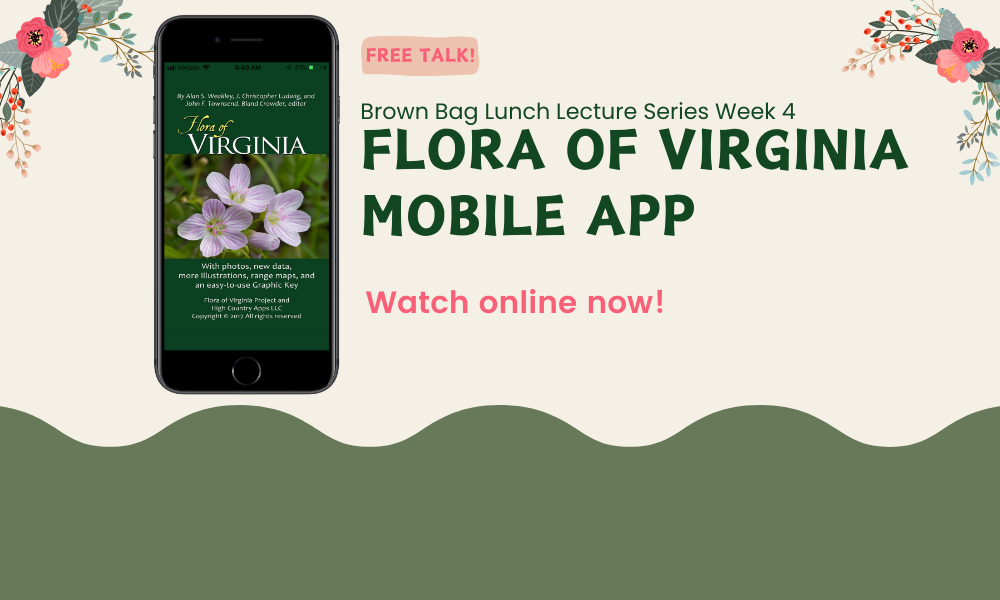 Flyer for next brown bag lecture on the Flora of Virginia app
