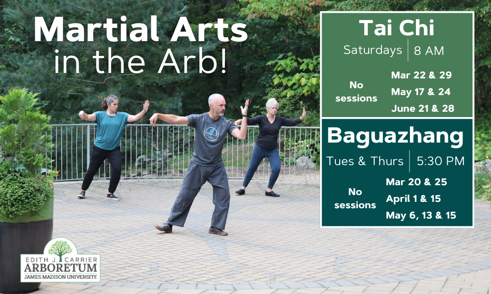 flyer for bagua (a martial art) at the Arboretum on tuesdays and thursday