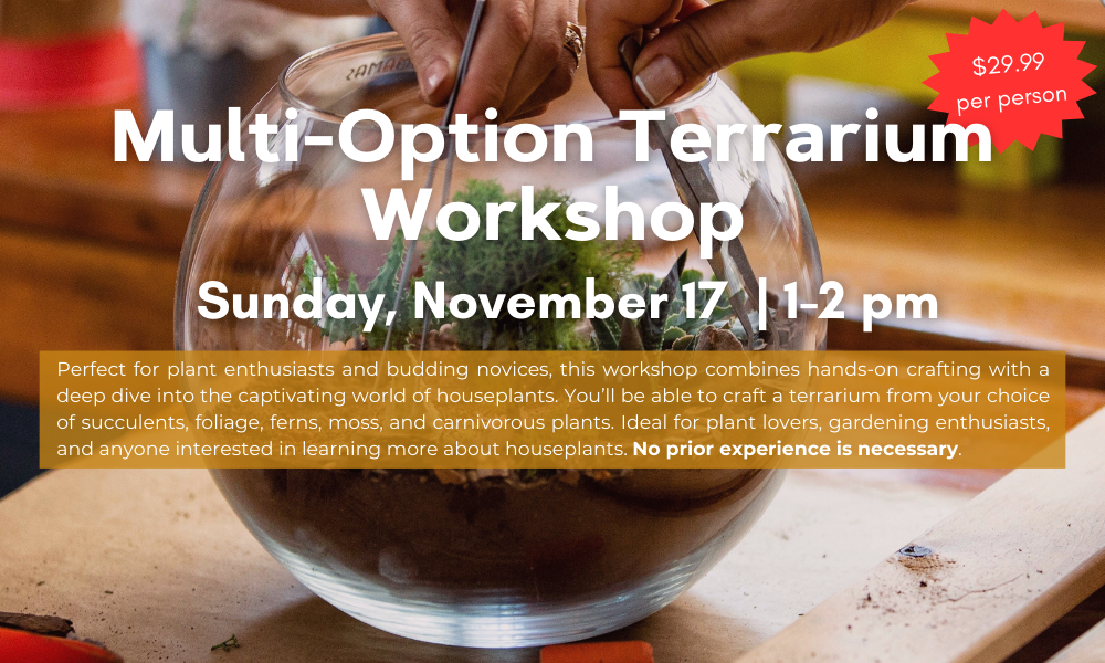 flyer for terrarium workshop