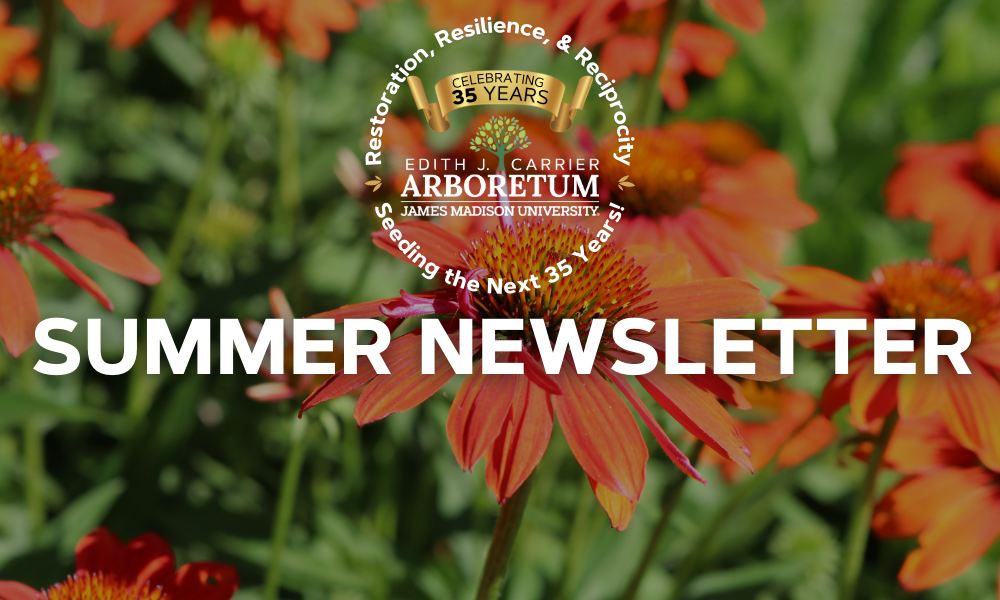 Read our Summer Newsletter for updates about the Arboretum!