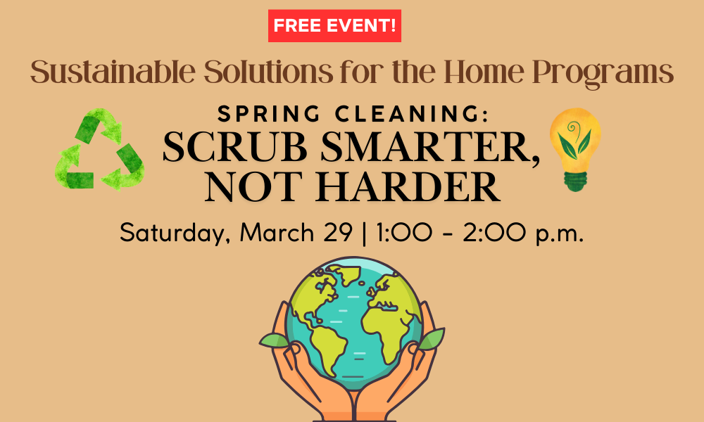 Promotional flyer for an event on sustainable solutions for the home on March 29th