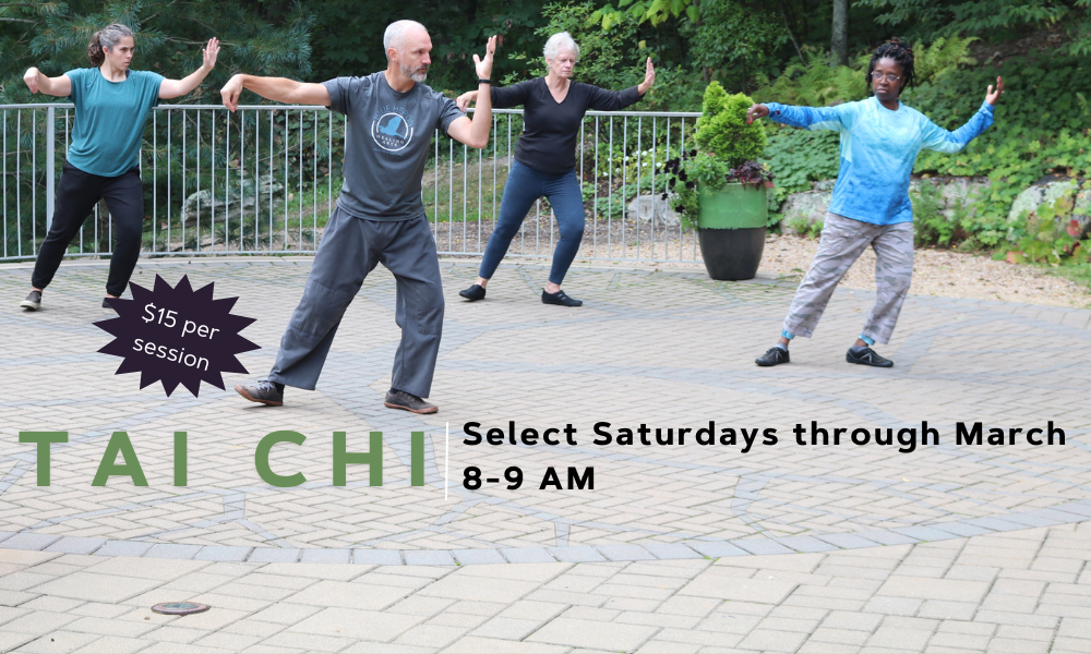 flyer for tai chi on select Saturdays