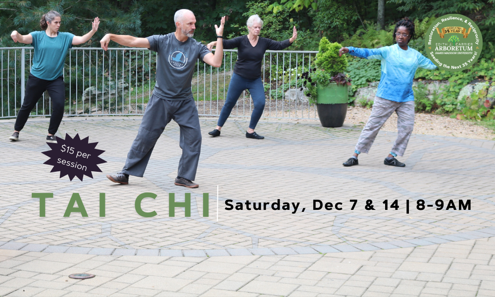 flyer for tai chi at the arboretum