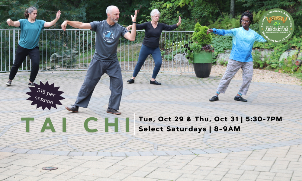 flyer for tai chi at the arboretum