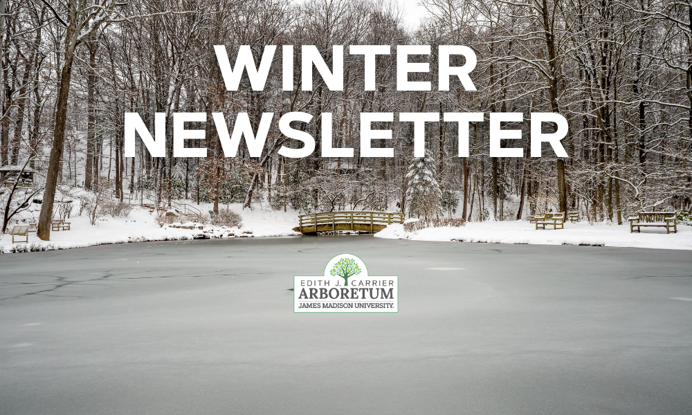 Read our Winter Newsletter for updates about the Arboretum!