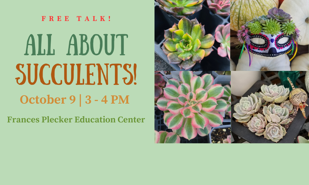 green background with texts announcing the talk about all about succulents