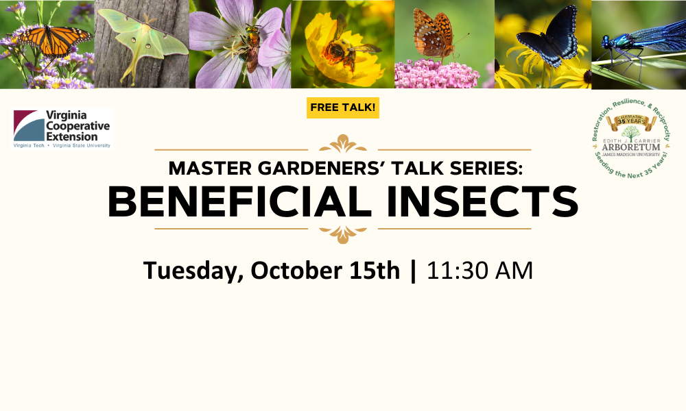 Light yellow background with a series of bug picture featuring butterflies, moths, bees and other. Text announces upcoming talk on beneficial insects on October 15th