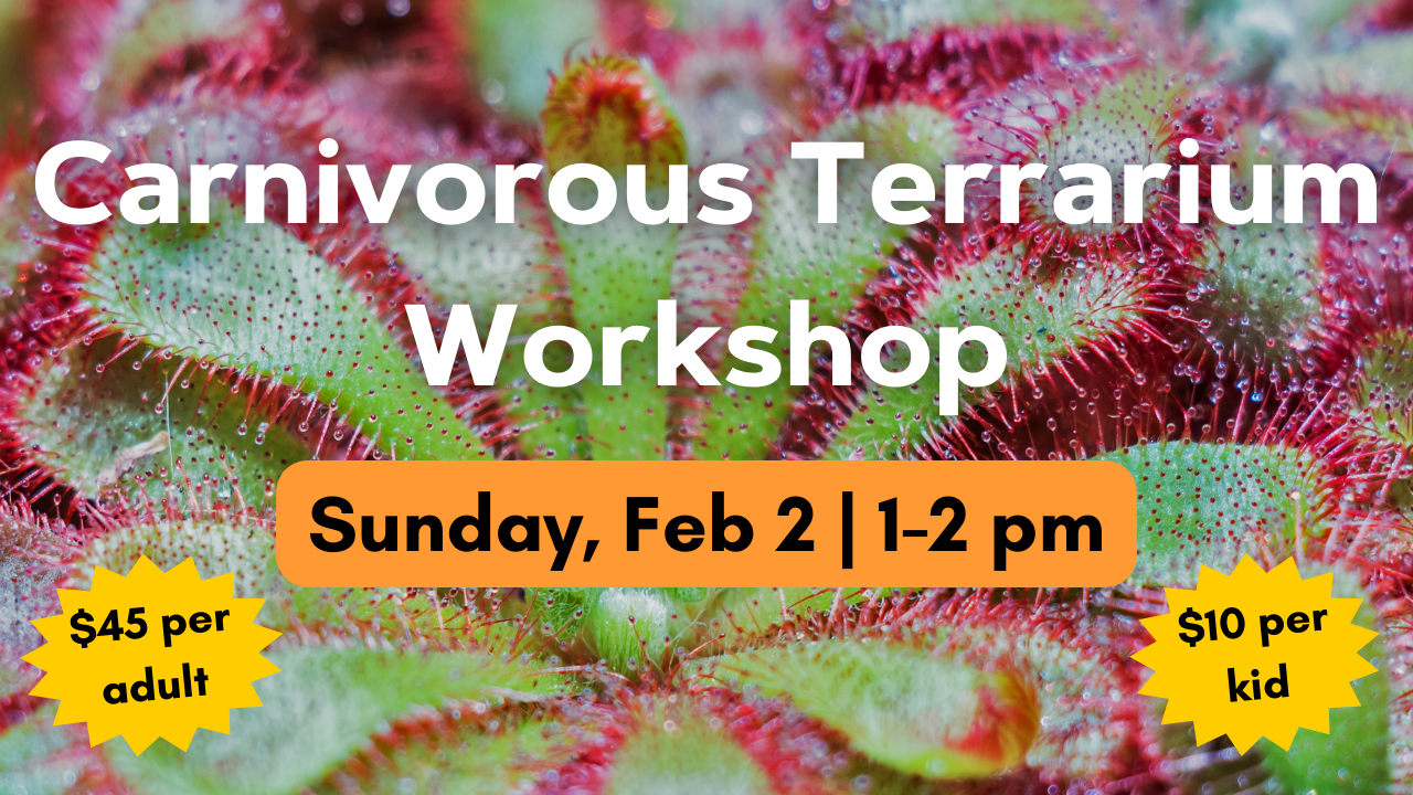 carnivorous terrarium workshop at the arboretum on february 2nd