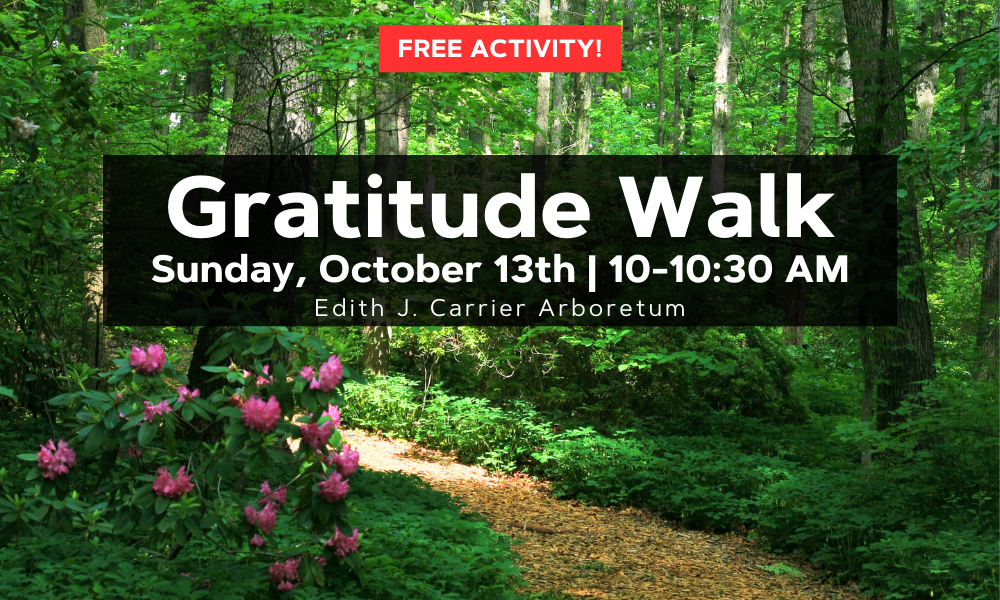 background is image of forest with some pink blooming azaleas and white text that announces the Gratitude Walk on October 13th with Anna Finch