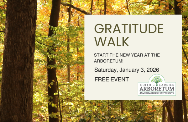 Gratitude Walk