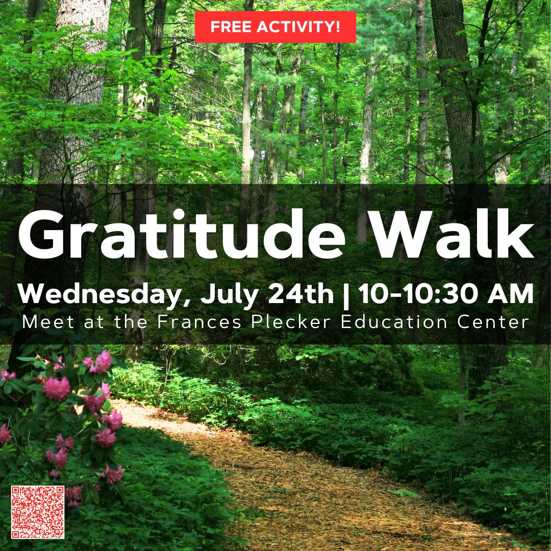 gratitude walk flyer 