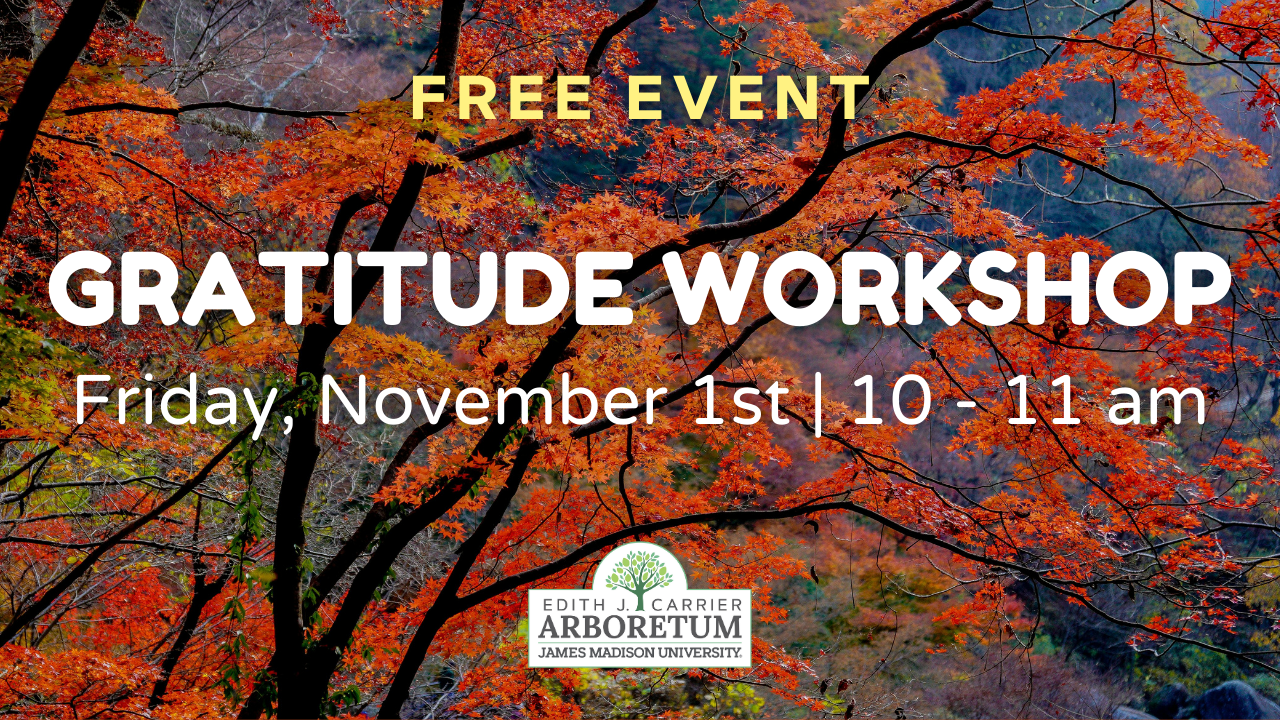 flyer for gratitude workshop