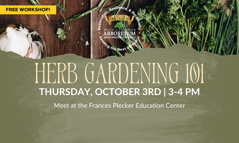 images of common herbs with text announcing talk about herb gardening on October 3rd