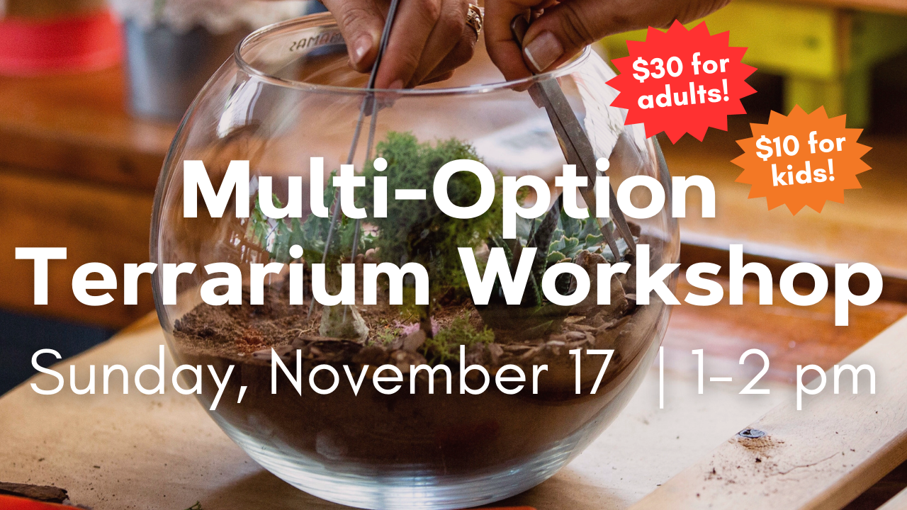 flyer for multi-option terrarium workshop