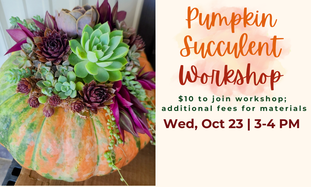 image of pumpkins with succulents growing out of the top next to text announcing the pumpkin succulent workshop coming up on October 23rd