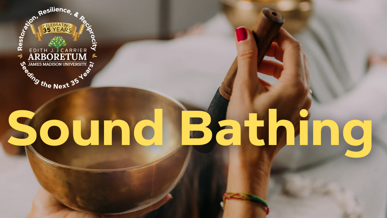 ad for sound bathing