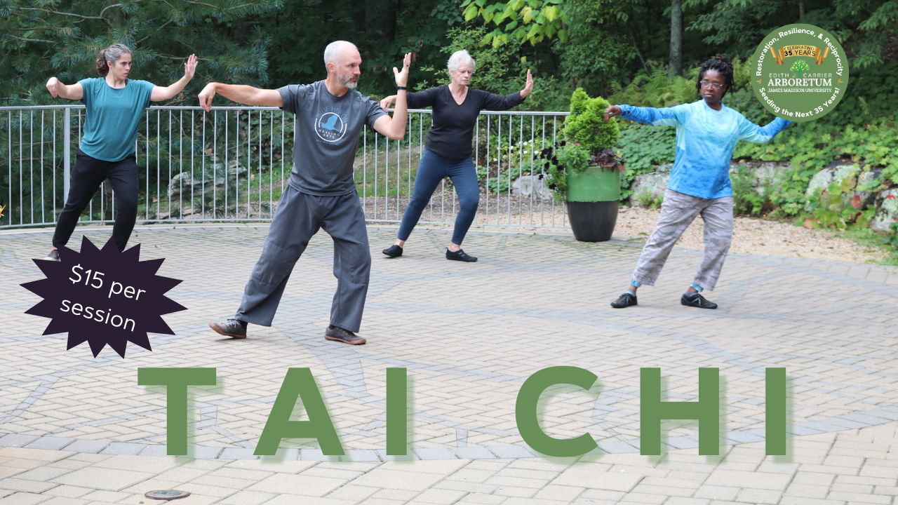 flyer for tai chi classes