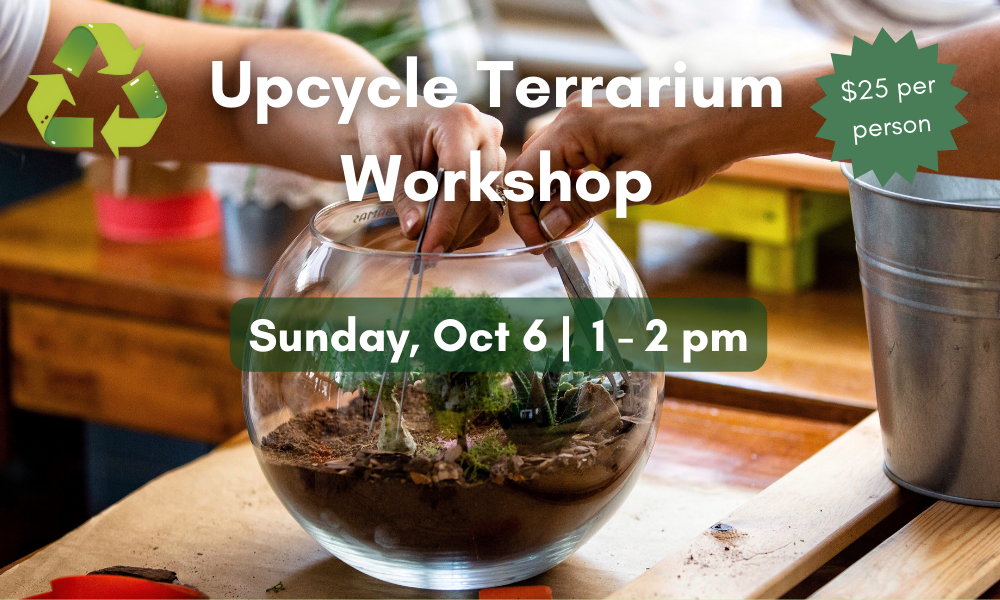 picture of people working on a terrarium with the text announcing upcycle terrarium workshop on October 6th