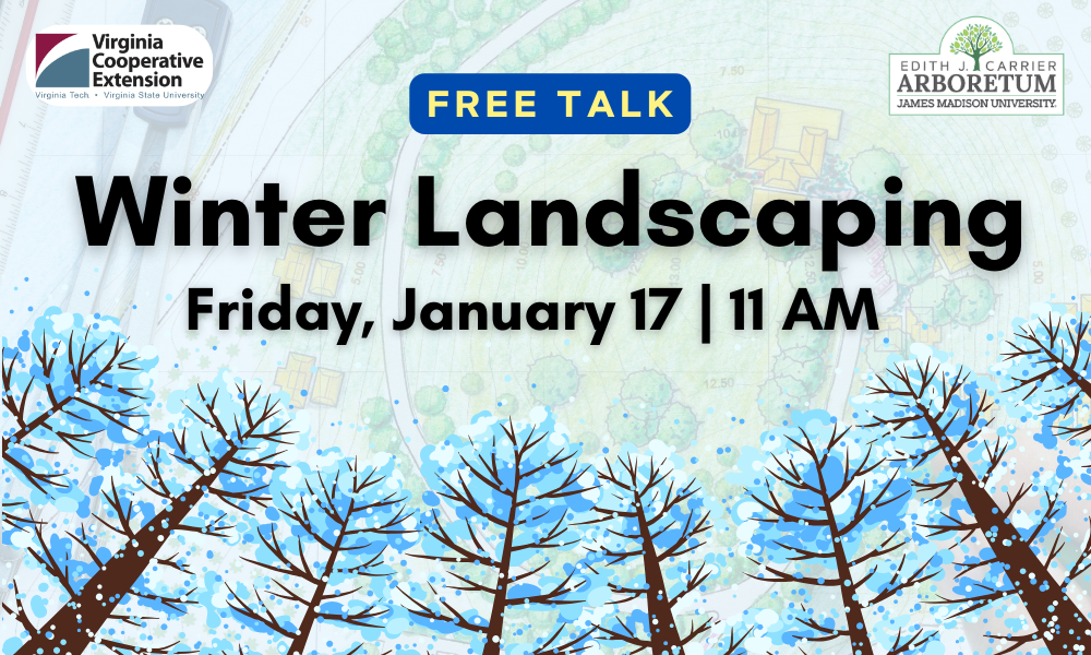 ad for upcoming talk on winter landscaping