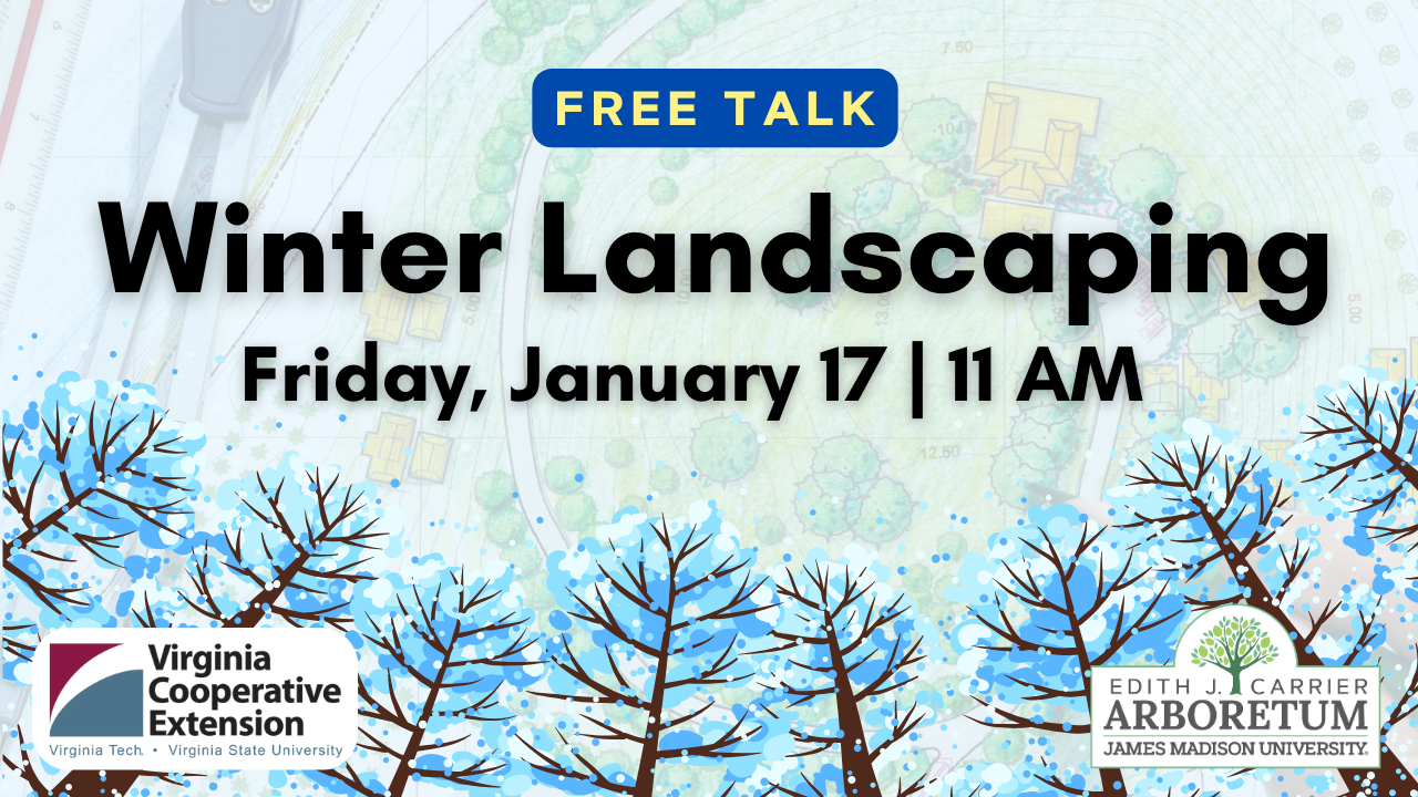 winter landscaping walk flyer