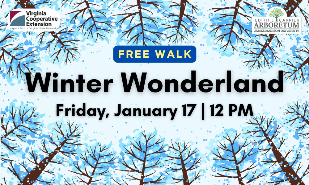 flyer for winter wonderland walk in the arboretum