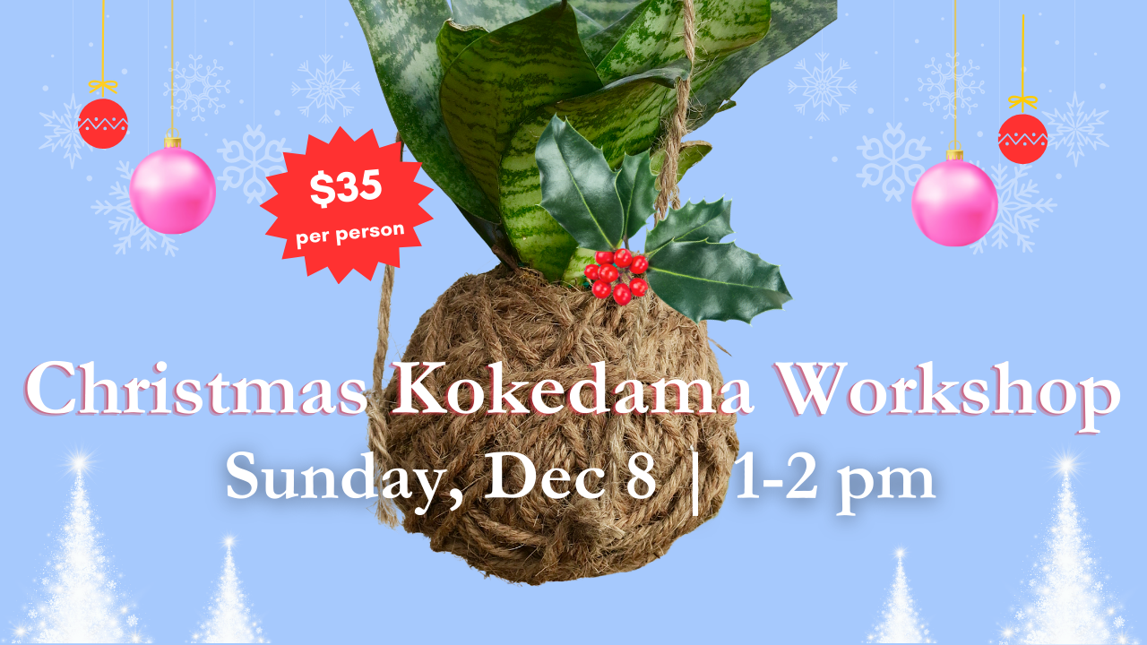 flyer for xmas kokedama