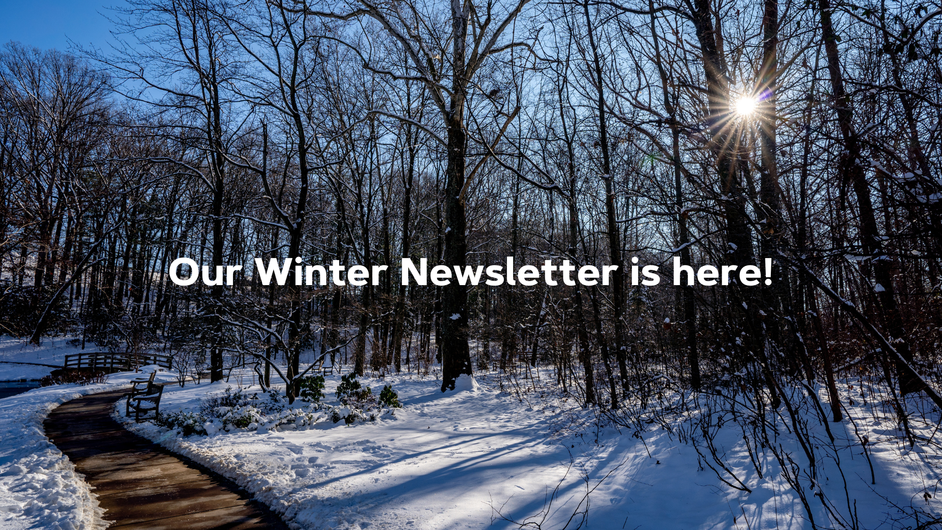 Read our Winter Newsletter for updates about the Arboretum!